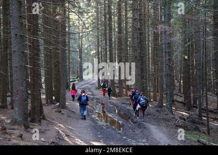 KARPATEN, UKRAINE - 8. OKTOBER 2022 Mount Hoverla. Karpaten in der Ukraine im Herbst. Touristen wandern durch Hügel und Wälder bis zum Gipfel des Hoverla Berges Stockfoto