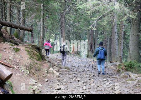 KARPATEN, UKRAINE - 8. OKTOBER 2022 Mount Hoverla. Karpaten in der Ukraine im Herbst. Touristen wandern durch Hügel und Wälder bis zum Gipfel des Hoverla Berges Stockfoto