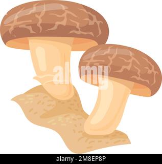 Brauner Kappenpilz. Essbarer Shiitake-Cartoon-Pilz, isoliert auf weißem Hintergrund Stock Vektor