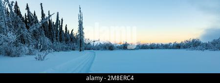 Unglaubliche arktische Sonnenuntergänge im Norden Kanadas im Winter entlang des Yukon River. Stockfoto