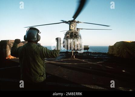 Ein Besatzungsmitglied führt den Piloten eines Helicopter Combat Support Squadron 6 (HC-6) CH-46D Sea Knight Helikopters, während er sich auf den Abflug vom militärischen Sealift-Kommandoschiff USNS SIRIUS (T-AFS-8) vorbereitet. Der Helikopter nimmt nach der Operation Desert Storm an vertikalen Wiederauffüllungsoperationen Teil. Betreff Operation/Serie: WÜSTENSTURMLAND: Rotes Meer Stockfoto