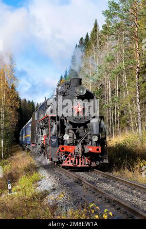 RUSKEALA, RUSSLAND - 09. OKTOBER 2022: Touristenzug des „Ruskeala Express“ im Herbstwald an einem sonnigen Tag. Karelien Stockfoto