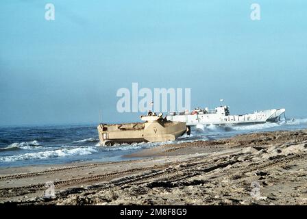 Ein Amphibienfahrzeug AAVP-7A1 von 2. PLT., Co A, 2. Assault Amphibian Bn., fährt aus der Brandung heraus, während die Ausrüstung aus dem Landungsschiff LCU-1663 im Hintergrund entladen wird. Die Bodeneinheiten der 4. Marine Expeditionary Brigade (4. MEB) kommen am Onslow Beach an Land, nachdem sie von den Amphibienschiffen ausgestiegen sind, auf denen sie in der Region des Persischen Golfs für Operation Desert Shield und Operation Desert Storm eingesetzt wurden. Betreff Operation/Serie: DESERT SHIELD DESERT STORM Base: Marine Corps Base, Camp Lejeune State: North Carolina (NC) Country: United States of America Stockfoto