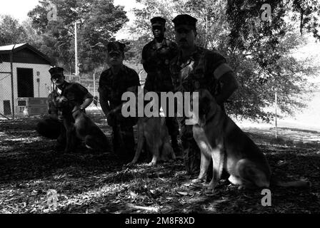 Militärischer Arbeitshund, bestehend aus NAS Pensacolas K-9 Corps und ihren Betreuern, posieren für ein Foto. Auf der Abbildung von links sehen Sie: MASTER-at-Arms 1. Klasse Christopher Anton mit Barry, MASTER-at-Arms 1. Klasse George Blankenship mit Donar, SRA Ron Pitts, Kennel Support und MASTER-at-Arms 1. Klasse Kenneth Lazorchak mit Marco. Die Hunde sind in Drogenverbot und vielen Nebenaufgaben ausgebildet, von der Unterstützung von Offizieren auf Patrouille bis hin zur Suche nach verlorenen Kindern. Basis: Marine Air Station, Pensacola Bundesstaat: Florida (FL) Land: Vereinigte Staaten von Amerika (USA) Stockfoto