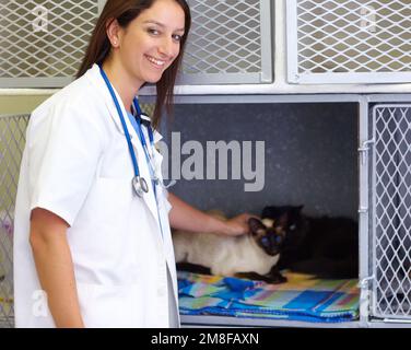 Geben Ihrem Tier die Liebe und Aufmerksamkeit, die es braucht. Ein junger Tierarzt streichelte eine siamesische Katze, während sie sie in einen Käfig zur Genesung legte. Stockfoto