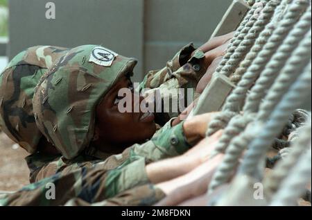 Ein Rekrut des 4. Bataillons bereitet sich darauf vor, ein Frachtnetz auf die Spitze des Abseilturms zu klettern. Das 4. Bataillon ist die einzige weibliche Einheit im Marine Corps. Basis: USMC Recruit Depot, Parris Island Bundesstaat: South Carolina (SC) Land: Vereinigte Staaten von Amerika (USA) Stockfoto
