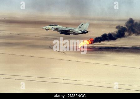 Ein Kampfgeschwader 114 (VF-114) F-14A Tomcat fliegt über einem Ölschacht, der nach Operation Desert Storm noch immer brennt. Betreff Betrieb/Serie: WÜSTENSTURMLAND: Kuwait (KWT) Stockfoto