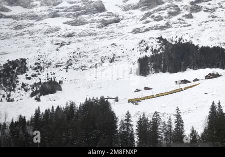 Genf. 12. Januar 2023. In der Jungfrau-Region in der Schweiz verkehrt am 12. Januar 2023 ein Personenzug. Das beliebte malerische Wintersportgebiet Jungfrau in der Schweiz wird in naher Zukunft voraussichtlich mehr chinesische Touristen und Sportfans anziehen. Mit Chinas jüngster Optimierung seiner COVID-19-Reaktion und der allmählichen Wiederherstellung der Auslandsreisen chinesischer Bürger hat sich Jungfrau auf einen Anstieg chinesischer Touristen in dieser Skisaison vorbereitet. ZU „Jungfrau in der Schweiz erwartet mehr chinesische Touristen“: Lian Yi/Xinhua/Alamy Live News Stockfoto