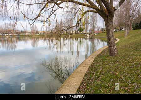 See mit Reflexionen von Bäumen und Himmel in einem öffentlichen Park in der Stadt Tres Cantos, Madrid. Stockfoto