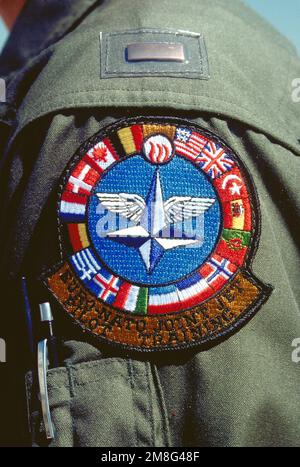 Eine Nahaufnahme des Emblems, das von den Teilnehmern am Euro-NATO Joint Jet Pilot Training Program des 80. Flying Training Wing auf dem Luftwaffenstützpunkt Sheppard, Texas, getragen wurde. Land: Unbekannt Stockfoto