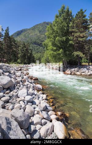 Bach mit klarem, türkisfarbenem Wasser im Altai-Gebirge. Sommerlandschaft. Stockfoto