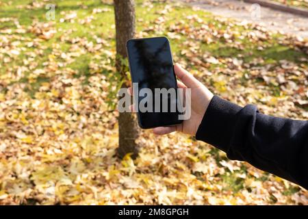 Handymodell, weiße Frau, die Handymodell hält. Schwarzer leerer Bildschirm. Im Herbst fallen gelbe Blätter auf dem Boden. Stockfoto