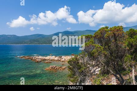 Cupabia Beach. Küstenlandschaft der Insel Korsika an einem sonnigen Sommertag, Plage de Cupabia Stockfoto