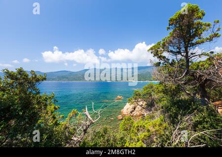 Cupabia Beach. Küstenlandschaft der Insel Korsika an einem sonnigen Sommertag, Plage de Cupabia Stockfoto