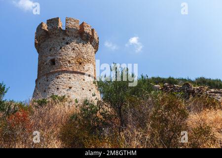 Campanella-Turm an einem sonnigen Tag. Es ist einer der Genuesischen Türme auf Korsika, eine Reihe von Küstenfestungen, die von der Republik Genua zwischen 15 errichtet wurden Stockfoto