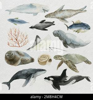 Tiere aus dem Meer in Aquarell-Set-Vektor Stock Vektor