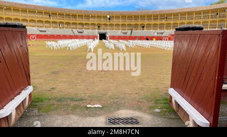 Stierkampfarena ohne Öffentlichkeit von Aranjuez in Madrid Stockfoto