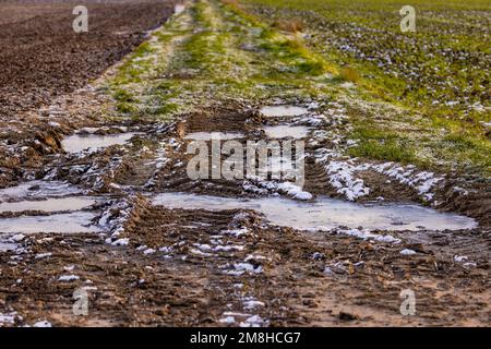 Ein Feldweg mit Gras und Erde mit gefrorenen Wasserpfützen mit Eis im Winter, Deutschland Stockfoto
