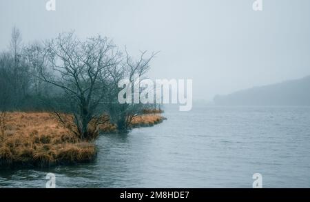 Ein Misty Llyn Gwynant im Snowdonia National Park, North Wales, Großbritannien. Stockfoto