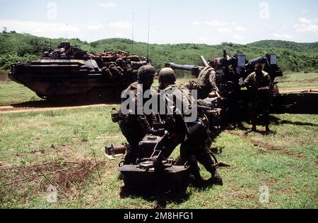 Mitglieder von Btry. R, 5. Mrd., 10. Marine Regt., positionieren Sie die Pfade eines M-198 155mm-Haubitzers, während Sie eine Artillerieposition während der gemeinsamen Serviceübung Ocean Venture '93 einrichten. Ein AAVP-7A1-Amphibienfahrzeug kommt im Hintergrund vorbei. Betrifft Operation/Serie: OCEAN VENTURE '93 Basis: Vieques Island Staat: Puerto Rico (PR) Land: Vereinigte Staaten von Amerika (USA) Stockfoto