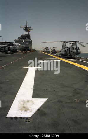 Nahaufnahme der CH-46E Sea Knight Hubschrauber auf dem Flugdeck des Amphibienschiffs USS WASP (LHD-1), während das Schiff bei Jebel Ali festgemacht ist. Land: Vereinigte Arabische Emirate (VAE) Stockfoto