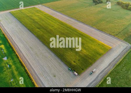 63801-14105 Luftaufnahme des Maisfeldes, das für Silage Marion Co. Gemäht wird IL Stockfoto