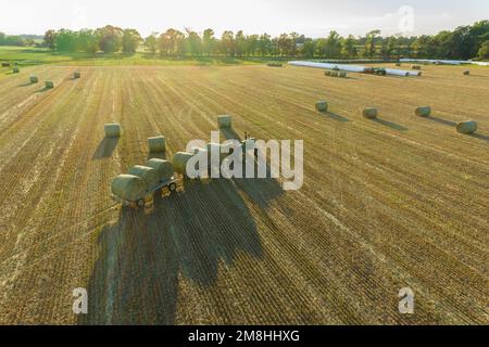 63801-17008 Luftaufnahme des Ladens runder Heuballen auf Wagen und des Wickelns von Ballen Marion Co IL Stockfoto