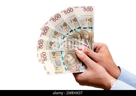 Polnische 500-PLN-Banknoten in der Hand, polnische Währung Stockfoto
