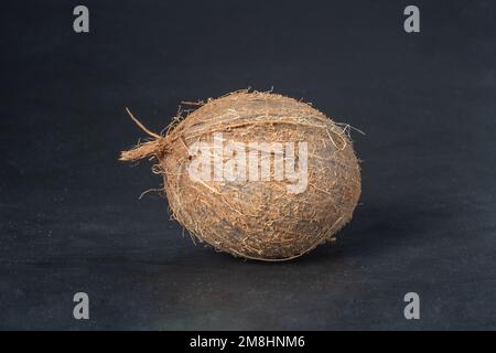 Eine reife, frische Kokosnuss vor dunklem Hintergrund. Stockfoto