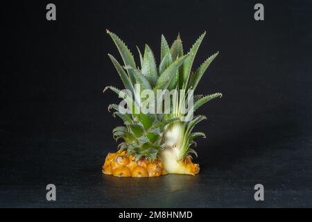 Reife Mini-Ananas auf dunklem Hintergrund. Stockfoto