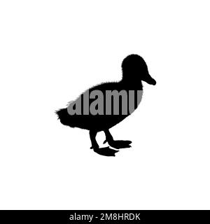 Duck-Ikone. Einfacher Stil, Eintrittskarten für zoologischen Garten, großes Poster mit Hintergrundsymbol. Designelement des Duck Markenlogos. Duck-T-Shirt-Druck. Stock Vektor