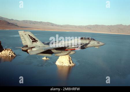 Air-to-Air-Seitenansicht eines F-14B Tomcat-Flugzeugs der Fighter Squadron 143 (VF-143), die Pukin' Dogs, im Flug über den Pyramidensee. Das Flugzeug wird von LT gesteuert. Chris Blaschum, USN und der Radarabfangoffizier (RIO) sind LT. Jack lügt, USN. Staat: Nevada (NV) Land: Vereinigte Staaten von Amerika (USA) Stockfoto