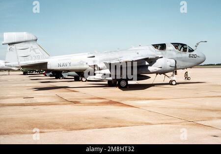 Rechte Rückansicht eines EA-6B Prowler-Flugzeugs der taktischen Elektronischen Kriegsstaffel 130 (VAQ-130) des Trägers Flügel drei (CVW-3), das dem nukleargetriebenen Flugzeugträger USS DWIGHT D. EISENHOWER (CVN-69) zugeordnet ist und auf der Fluglinie geparkt ist. Basis: Naval Air Facility, Andrews AFB Bundesstaat: Maryland (MD) Land: Vereinigte Staaten von Amerika (USA) Stockfoto