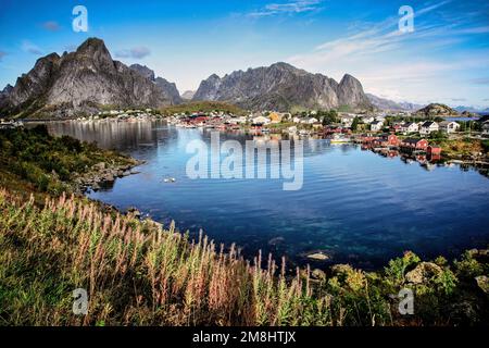Das Dorf reine liegt in einem geschützten Hafen an der Küste von Moskenesoya auf den norwegischen Lofoten. Stockfoto