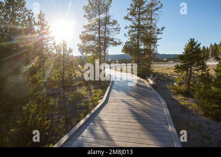 Holzstege in den geothermischen Gebieten des Yellowstone National Park, Wyoming, USA Stockfoto