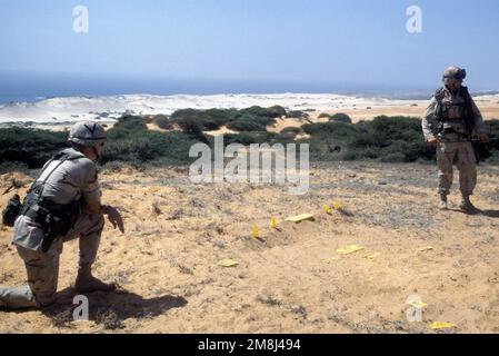 LT. Judenis-Slips. GEN. Blackwell über die Verwendung, Fähigkeiten und Eigenschaften der Mine Clearing Line Charge (MICLIC). MAJ. GEN. Blackwell erhielt eine Demonstration der MICLIC auf einem Schießstand während einer Tour durch US-Einheiten. Einsatzgebiet/Serie: UNOSOM II Basis: Mogadischu Land: Somalia (SOM) Stockfoto