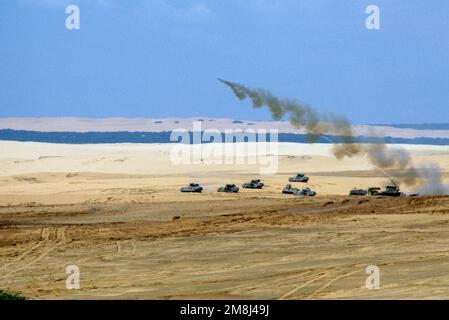 Eine Mine Clearing Line Charge (MICLIC) wird während einer Trainingssitzung auf einem Bereich ausgelöst. Die MICLIC ist eine mit Raketen angetriebene Linie, die in der Lage ist, Hindernisse, Mauern oder Minenfelder zu durchbrechen. Der MICLIC verfügt über eine 350-Fuß-Ladung, die durch ein 205-Fuß-Fangseil gesichert ist. Die Leitungsladung enthält 1840 Pfund C-4 Sprengstoff. Einsatzgebiet/Serie: UNOSOM II Basis: Mogadischu Land: Somalia (SOM) Stockfoto