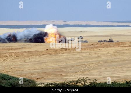 Feuer- und Rauchblüten, die die Detonation einer Mine Clearing Line Charge (MICLIC) auf Feuerreichweite signalisieren. Die MICLIC ist eine mit Raketen angetriebene Leitungsladung, die Hindernisse, Mauern oder Minenfelder durchbrechen kann. Die MICLIC verfügt über eine 350 Fuß lange Ladung, die durch ein 205 Fuß langes Fangseil gesichert ist, und enthält 1840 Pfund C-4 Sprengstoff. Eine Fort Stewart-Einheit, die bei der Operation eingesetzt wurde, führte die Übung durch. Einsatzgebiet/Serie: UNOSOM II Basis: Mogadischu Land: Somalia (SOM) Stockfoto