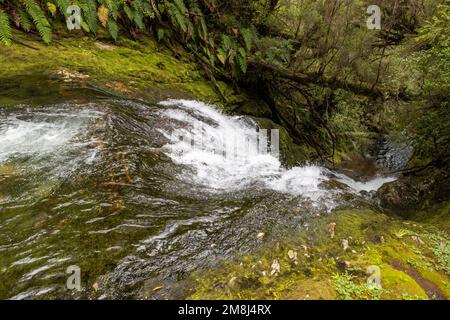 Blick auf den Wasserfall bei einer Wanderung auf den Sendero Cascadas Escondidas im Parque Nacional Pumalín Douglas Tompkins in Patagonien, Chile Stockfoto