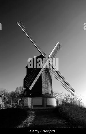 Die Windmühle De Koelewei (1765), nahe dem Stadttor Dampoort, Brügge, West-Flandern, flämische Region von Belgien Stockfoto