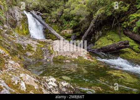 Blick auf den Wasserfall bei einer Wanderung auf den Sendero Cascadas Escondidas im Parque Nacional Pumalín Douglas Tompkins in Patagonien, Chile Stockfoto