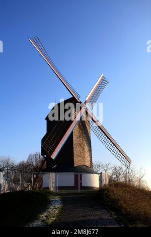 Die Windmühle De Koelewei (1765), nahe dem Stadttor Dampoort, Brügge, West-Flandern, flämische Region von Belgien Stockfoto