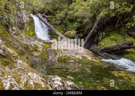 Blick auf den Wasserfall bei einer Wanderung auf den Sendero Cascadas Escondidas im Parque Nacional Pumalín Douglas Tompkins in Patagonien, Chile Stockfoto