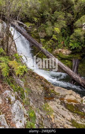 Blick auf den Wasserfall bei einer Wanderung auf den Sendero Cascadas Escondidas im Parque Nacional Pumalín Douglas Tompkins in Patagonien, Chile Stockfoto