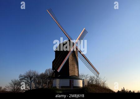 Die Windmühle De Koelewei (1765), nahe dem Stadttor Dampoort, Brügge, West-Flandern, flämische Region von Belgien Stockfoto