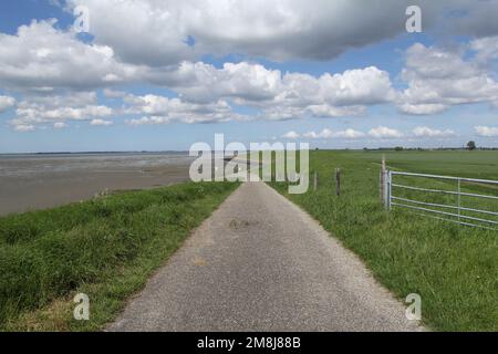 Eine holländische Küstenlandschaft in der Nähe von antwerpen mit Gezeitenschlamm und Strand entlang der westerschelde und einer Straße an einem Deich vor dem Hotel Stockfoto