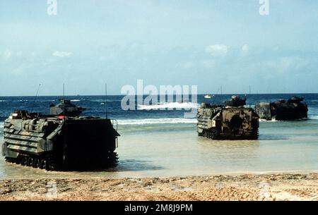 AAVP-7A1 Amphibienfahrzeuge der 24. Marine Expeditionary Unit verlassen Black Beach nach einer Übung in Mogadischu auf dem Weg zum Panzerlandeschiff USS SPARTANBURG COUNTY (LST-1192), das vor der Küste Somalias vor Anker liegt. Basis: Black Beach Country: Somalia (SOM) Stockfoto