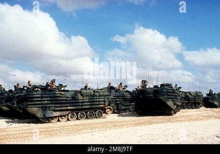 AAVP-7A1 Amphibienfahrzeuge der 24. Marine Expeditionary Unit verlassen Black Beach nach einer Übung in Mogadischu auf dem Weg zum Panzerlandeschiff USS SPARTANBURG COUNTY (LST-1192) vor der Küste Somalias. Basis: Black Beach Country: Somalia (SOM) Stockfoto