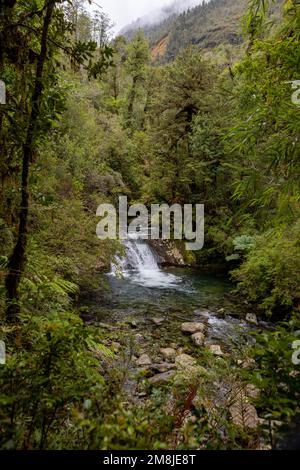 Blick auf den Wasserfall bei einer Wanderung auf den Sendero Cascadas Escondidas im Parque Nacional Pumalín Douglas Tompkins in Patagonien, Chile Stockfoto