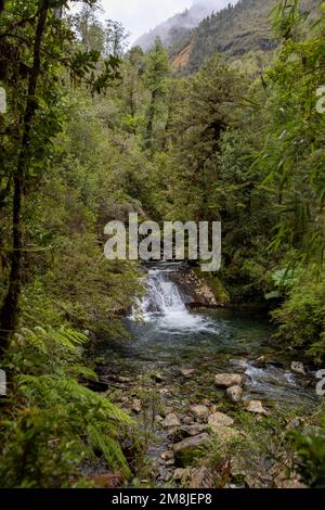 Blick auf den Wasserfall bei einer Wanderung auf den Sendero Cascadas Escondidas im Parque Nacional Pumalín Douglas Tompkins in Patagonien, Chile Stockfoto